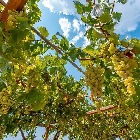 Casa Lluna Landsted *